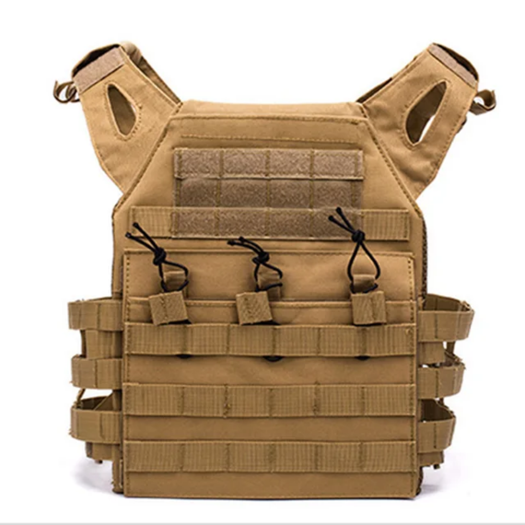 Basic Betty Coyote Plate Carrier